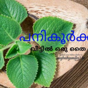 പനികൂർക്ക
